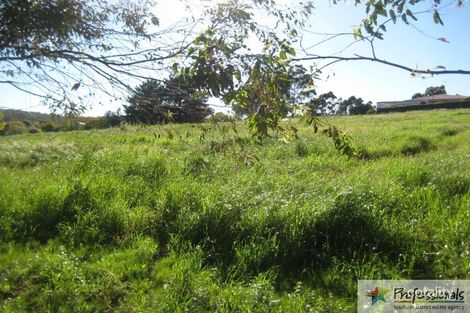 31 Logue Rd, Harvey, WA 6220