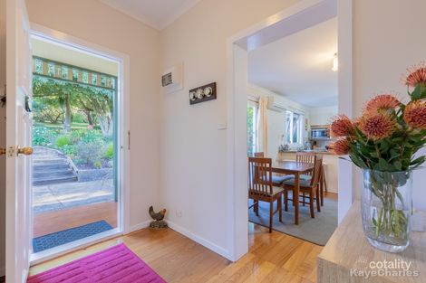 Property photo of 21 Haig Avenue Monbulk VIC 3793