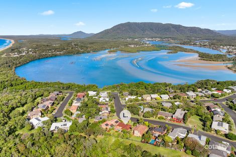 Property photo of 16 Bergalia Crescent Camden Head NSW 2443