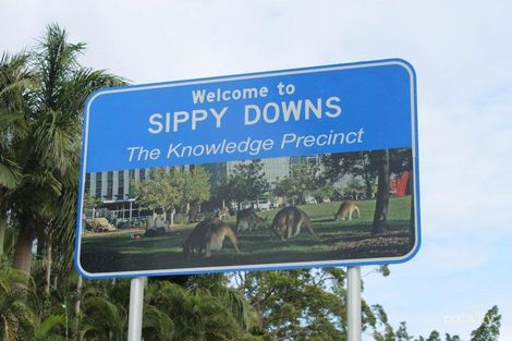 Property photo of 9 Morrison Street Sippy Downs QLD 4556