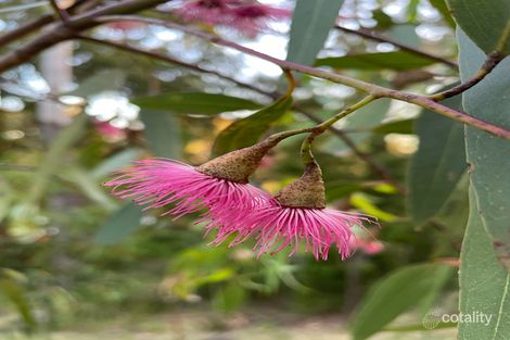 Property photo of 24 Penola Road Aldgate SA 5154