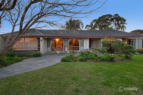 4 Amelia St, Hove, SA 5048