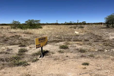 21 Hewitt St, Minnivale, WA 6462