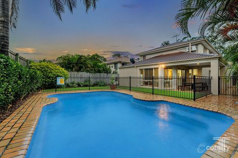 Property photo of 31 Kane Crescent Mansfield QLD 4122