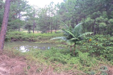 65 Felling Dr, Maudsland, QLD 4210