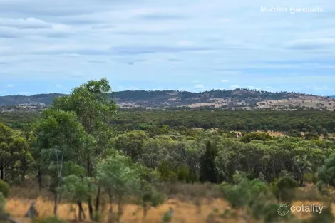 Property photo of 296 Gulf Road Emmaville NSW 2371