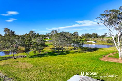 Property photo of 31 Wynyard Avenue Rossmore NSW 2557