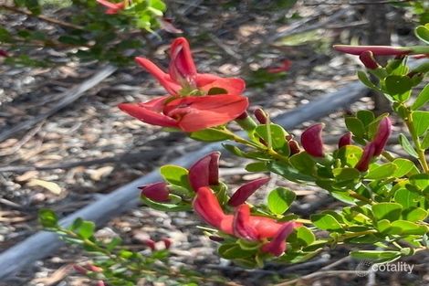 101 Mallee Rd, West River, WA 6346