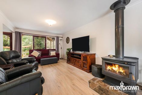 Property photo of 45 Aileen Avenue Montrose VIC 3765