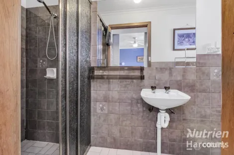 Property photo of 9 Eighth Street Renmark North SA 5341