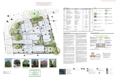 Property photo of 39 Camellia Crescent Norlane VIC 3214