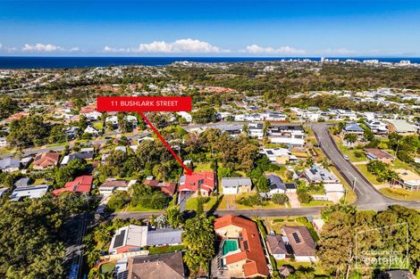 Property photo of 11 Bushlark Street Aroona QLD 4551
