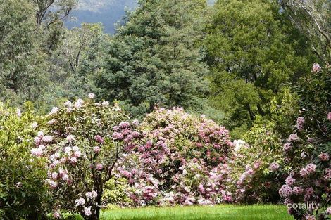 205 Hazelwood Rd, East Warburton, VIC 3799