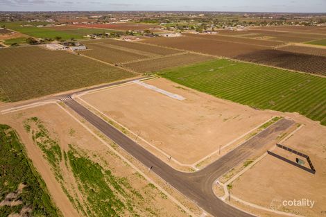 42 Walnut Ave, Mildura, VIC 3500