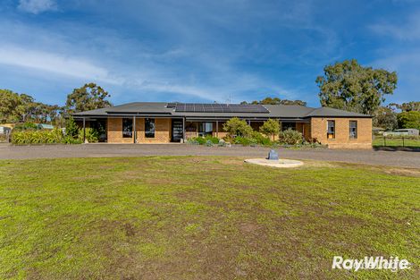 Property photo of 48 Patas Road Maiden Gully VIC 3551