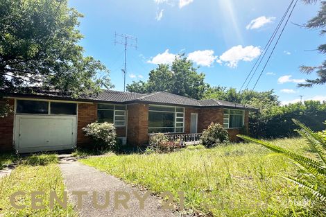 8 Young Rd, Carlingford, NSW 2118