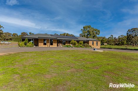 Property photo of 48 Patas Road Maiden Gully VIC 3551