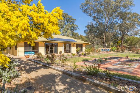 8 Reedy Creek Pl, Wamboin, NSW 2620