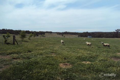 Property photo of 562 Jerrara Road Marulan NSW 2579
