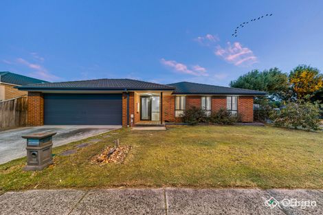 Property photo of 19 Ebony Street Cranbourne VIC 3977