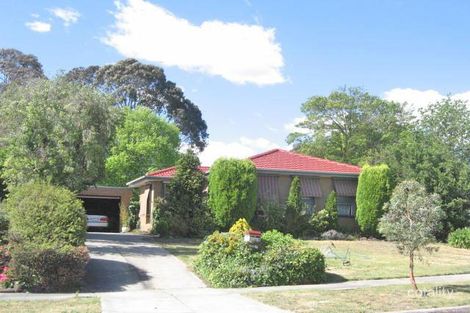 Property photo of 3 Dirkala Court Mulgrave VIC 3170