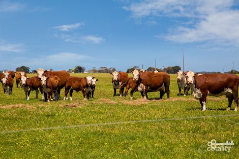 1228 Mount Salt Rd, Kongorong, SA 5291