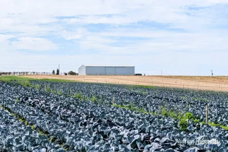 Croot Pl, Woodridge, WA 6041