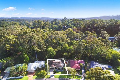 Property photo of 19 Early Bird Drive Buderim QLD 4556