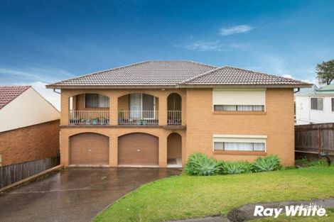 20 Buena Vista Ave, Lake Heights, NSW 2502