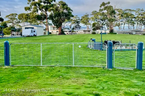 14 Dunn Dr, Surveyors Bay, TAS 7116