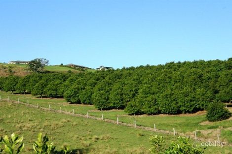 15 Pagottos Ridge Rd, North Lismore, NSW 2480