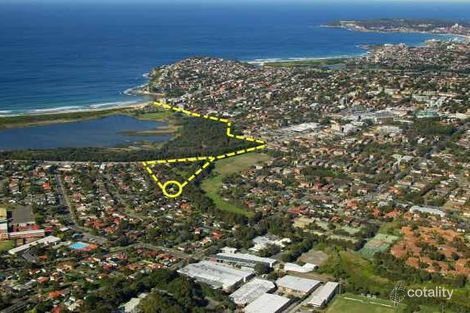 Property photo of 19 Tarra Crescent Dee Why NSW 2099