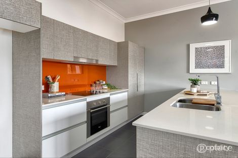 Property photo of 11 Wattle Avenue Carina QLD 4152