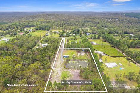 Property photo of 45 Osborne Court Wallu QLD 4570
