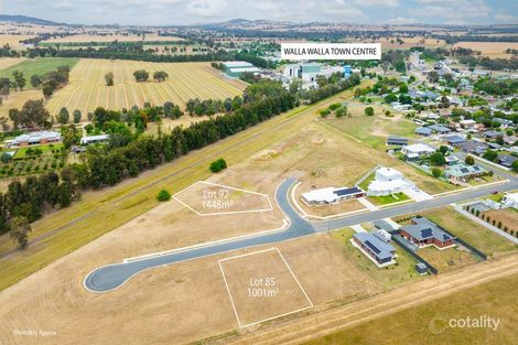 29 Kotzur Cir, Walla Walla, NSW 2659