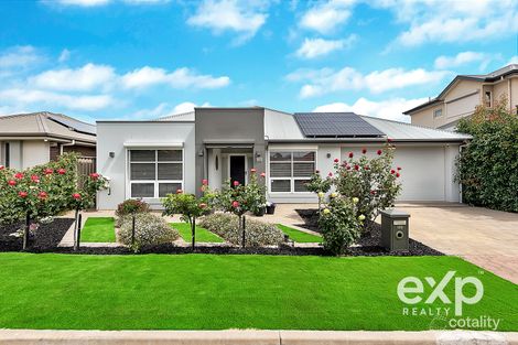 169 Folland Ave, Lightsview, SA 5085