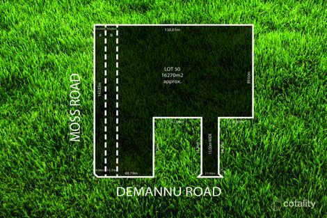 Property photo of 41 De Mannu Road Munno Para Downs SA 5115