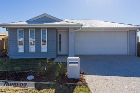41 Creekstone Ave, Redbank Plains, QLD 4301