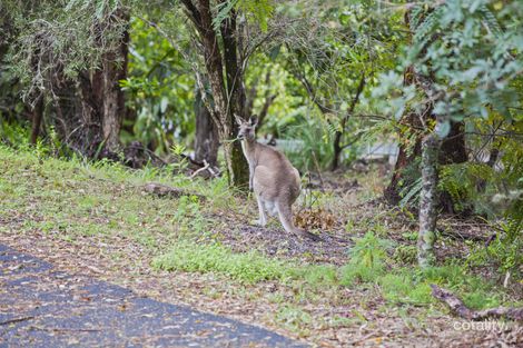 1 Old Cobb & Co Lane, Yandina, QLD 4561