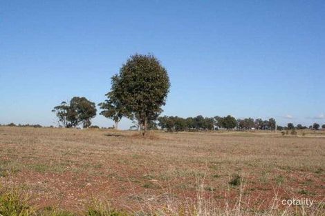 Property photo of 24 Portrush Crescent Luddenham NSW 2745