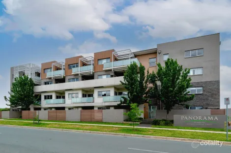 16/41 Philip Hodgins St, Wright, ACT 2611