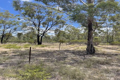 Property photo of 253 Harwoods Road Goranba QLD 4421