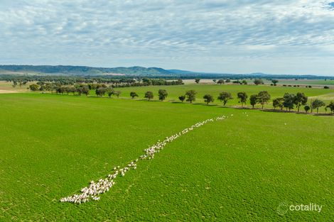 299 Allans Rd, Koorawatha, NSW 2807