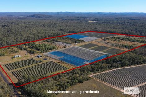 188 Parker Rd, Wells Crossing, NSW 2460