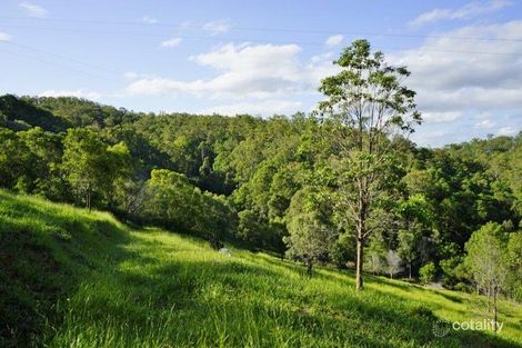 Property photo of 415 Jackson Road Wamuran QLD 4512