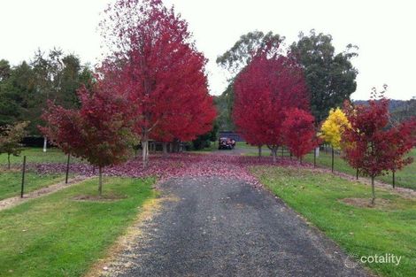 1546 Maroondah Hwy, Buxton, VIC 3711