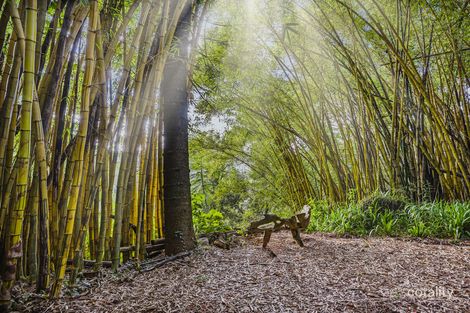 Property photo of 658 Tomewin Mountain Road Currumbin Valley QLD 4223