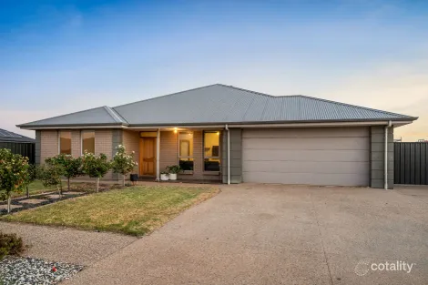 11 Daffodil Dr, Two Wells, SA 5501