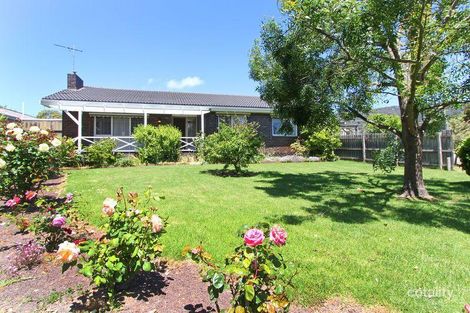 Property photo of 16 Thomas Street Dromana VIC 3936