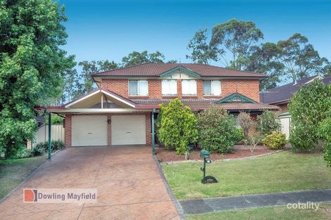 Property photo of 24 Olearia Crescent Warabrook NSW 2304